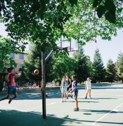 On campus basketball courts, participants play a game together.